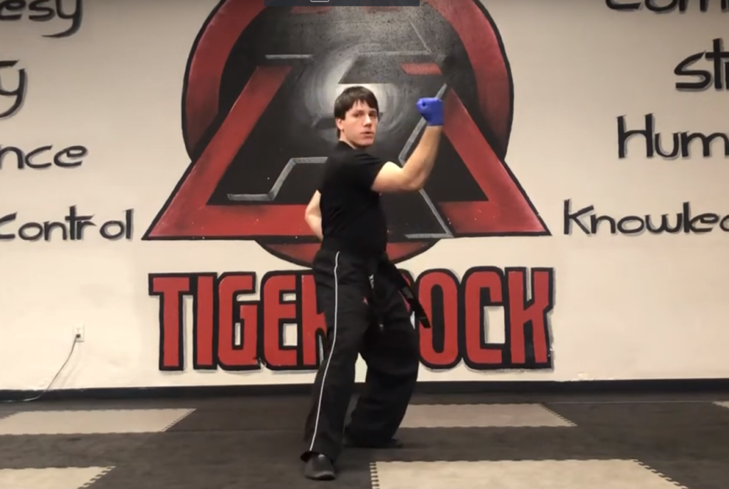 About Tiger Rock Martial Arts